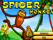 spider monkey